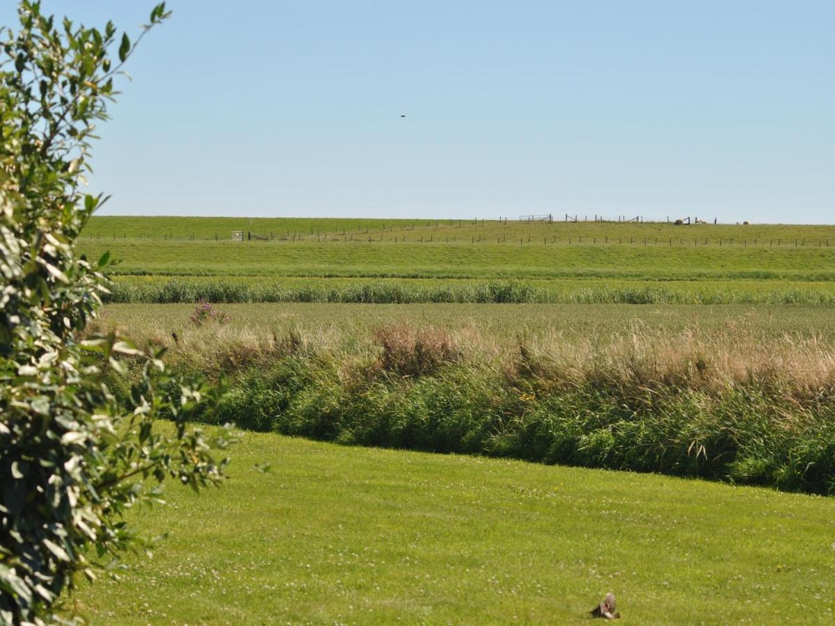 Charming Holiday Home In Texel Near Sea Oost  Exteriör bild